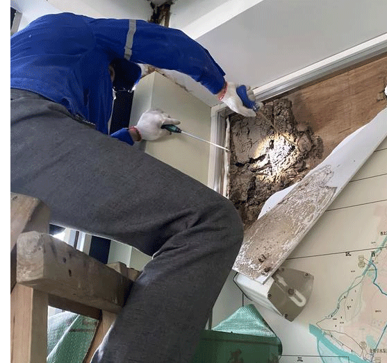 新吴区单位白蚁治理