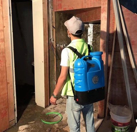 防治白蚁的重要性